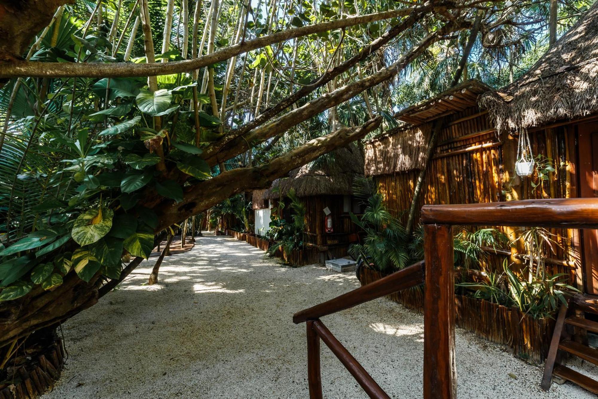 Co.bañitas * Tulum