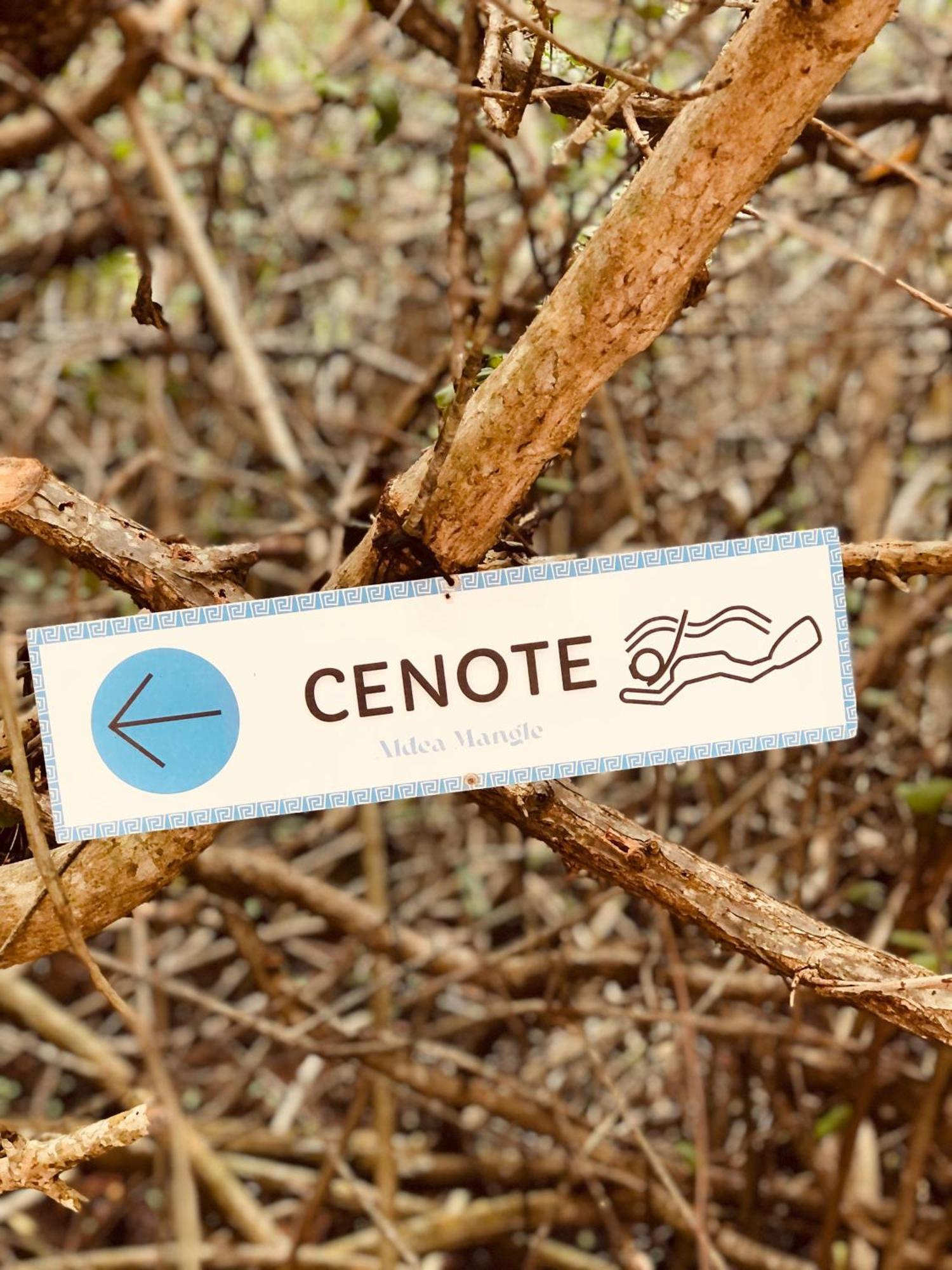 - Aldea Mangle & Cenote Lodge