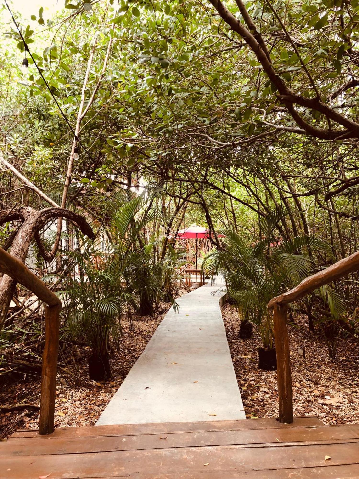 - Aldea Mangle & Cenote