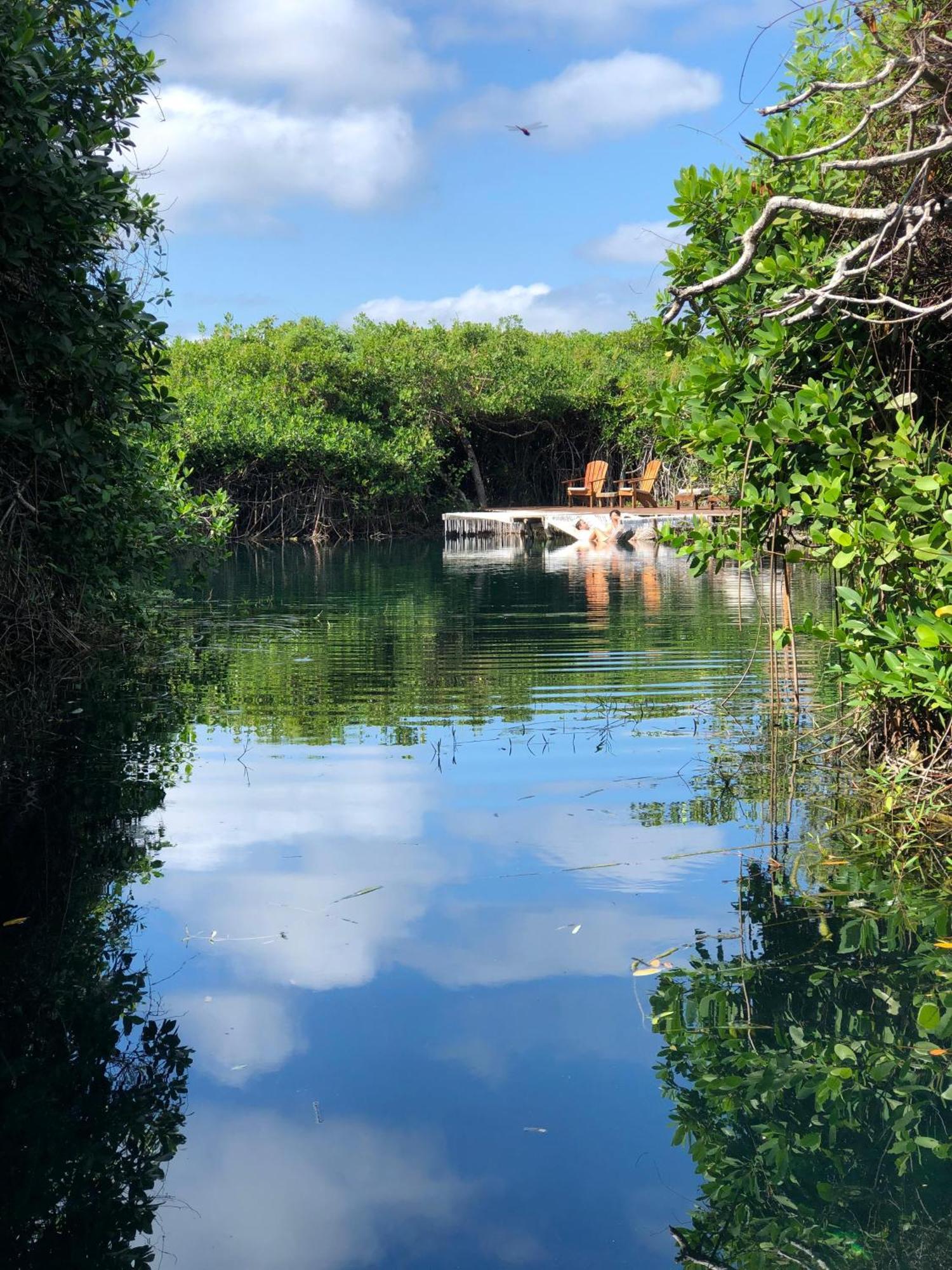 Lodge - Aldea Mangle & Cenote *