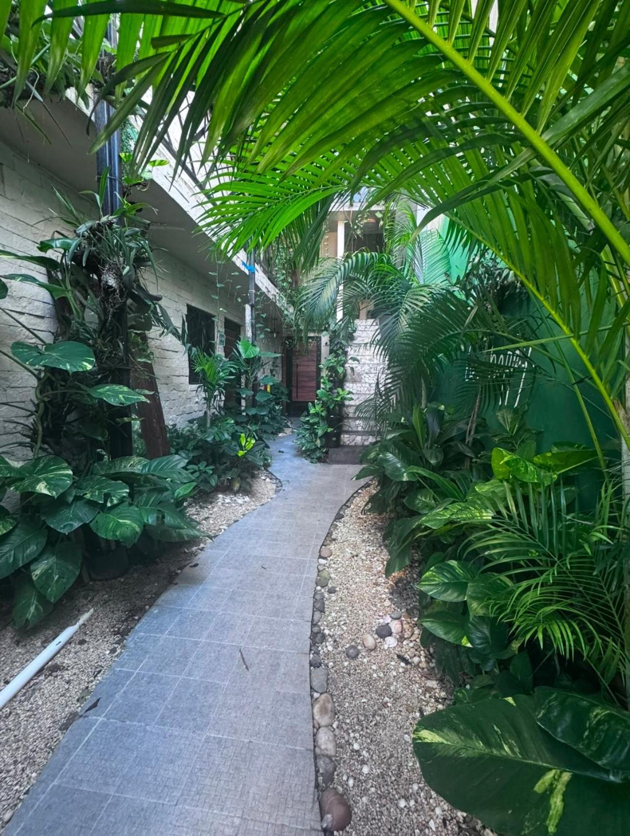 Kasa Nikte * Tulum