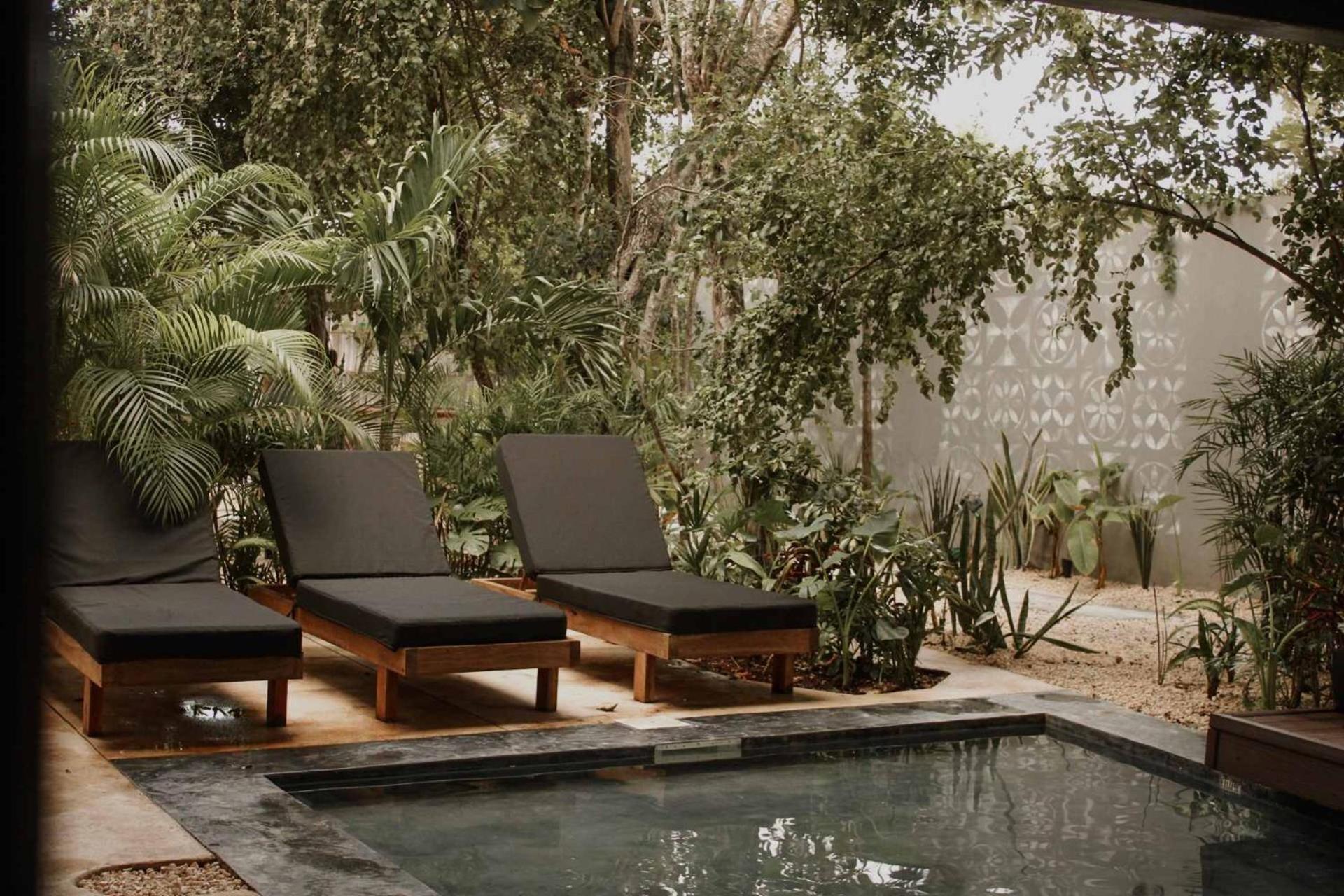 Casa Kefi- Award Winning - Jungle Paradise