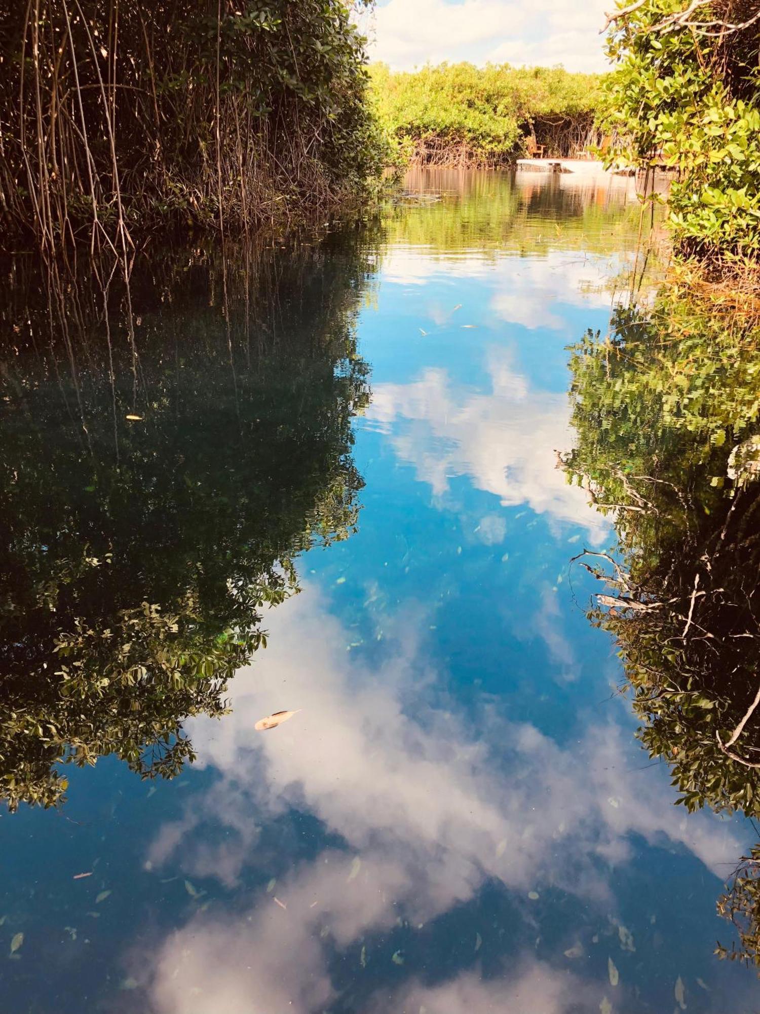 - Aldea Mangle & Cenote Lodge *