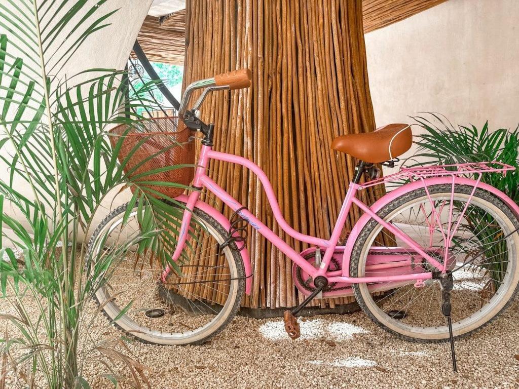 Apartamento Rama Traveler's Oasis Tulum