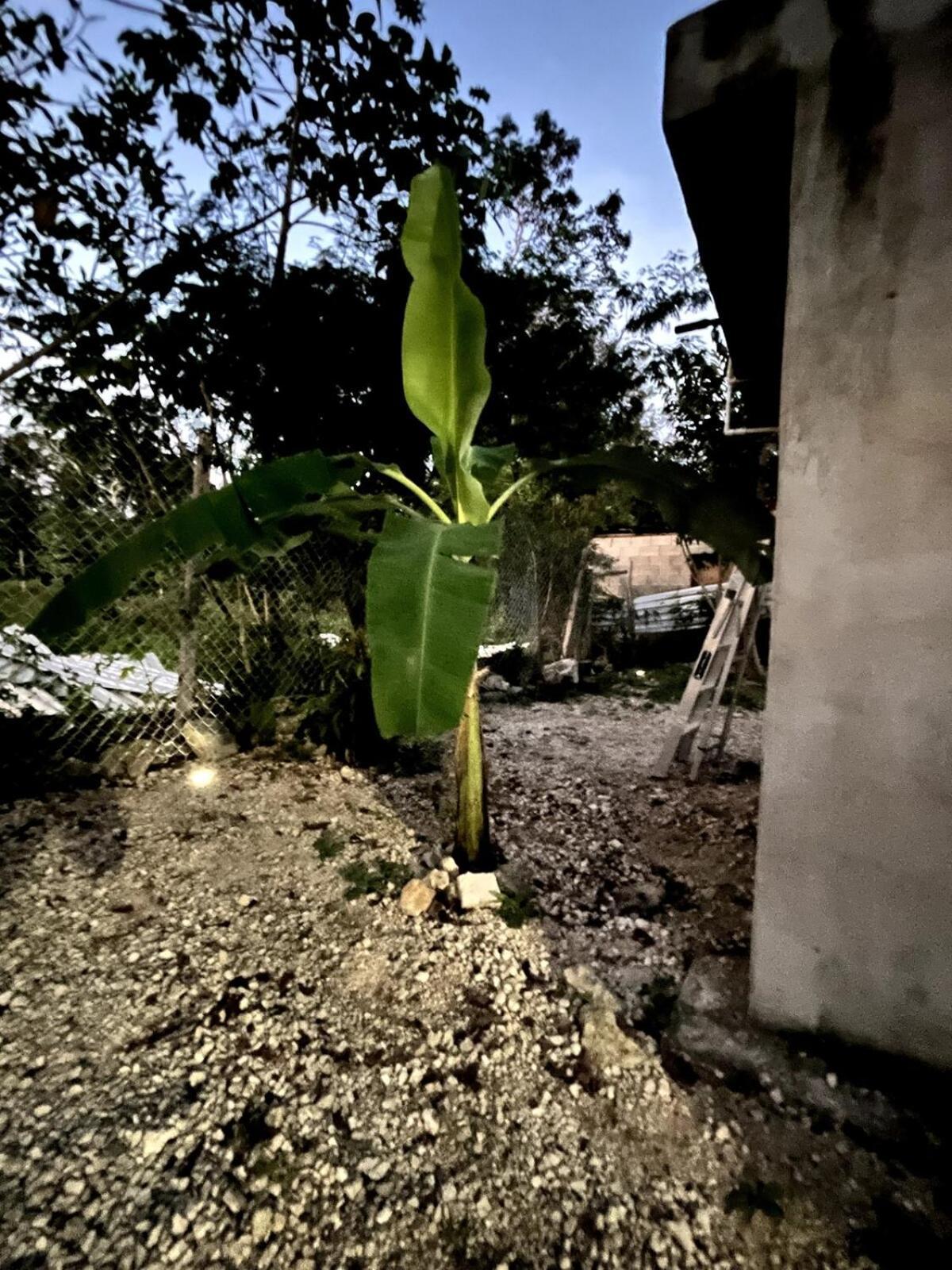 Linda Casa Privada En La Naturaleza De Tulum!