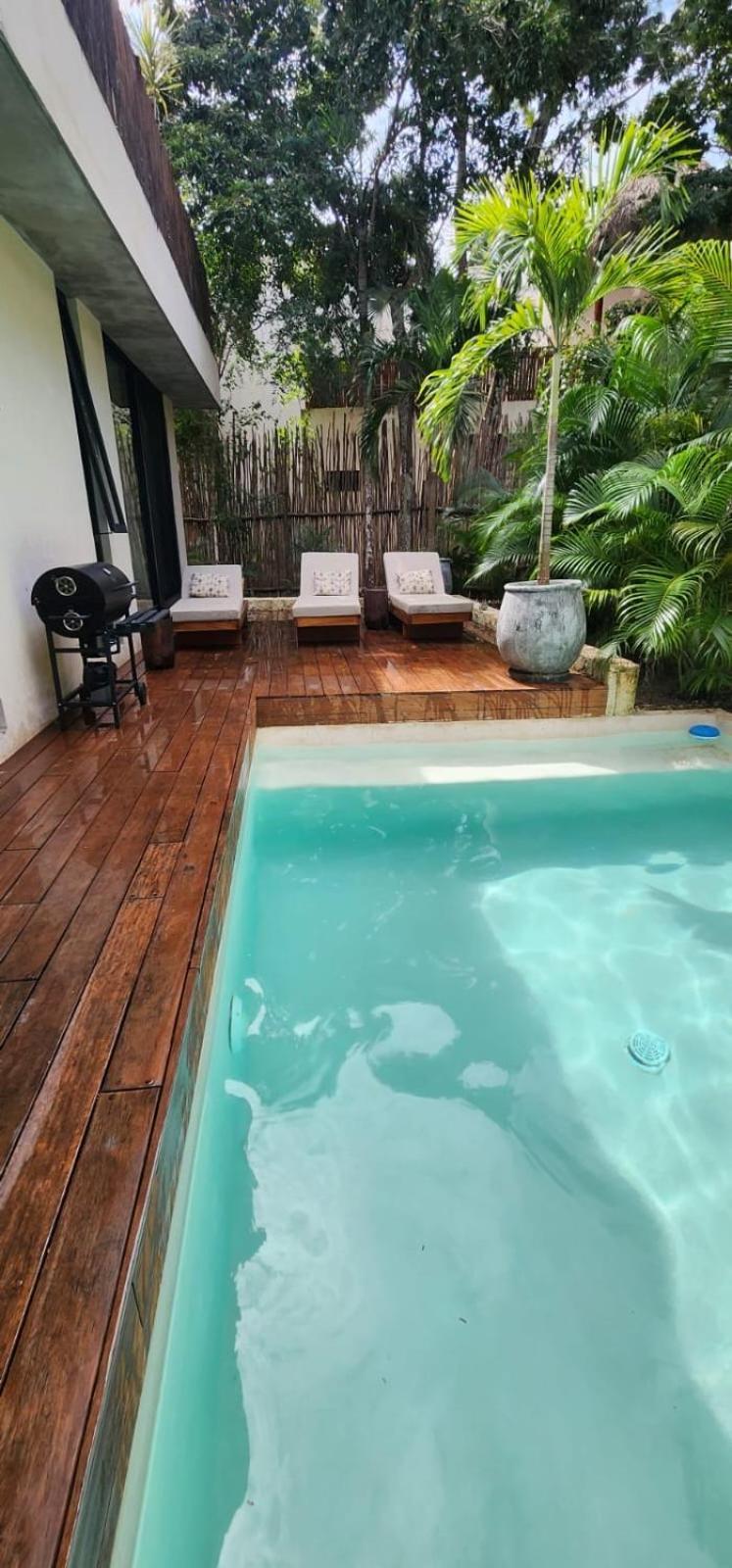 Xuncari En El Corazón De La Selva Tulum