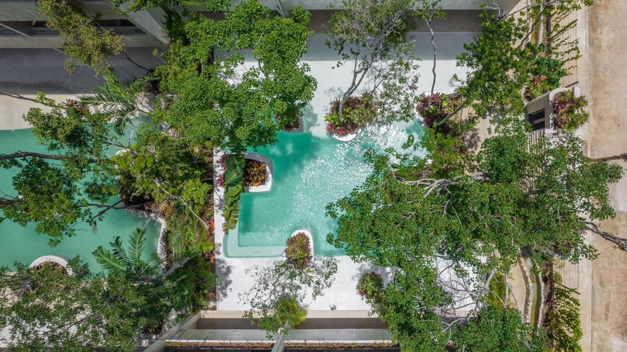 Oasis In The Jungle - Tulum