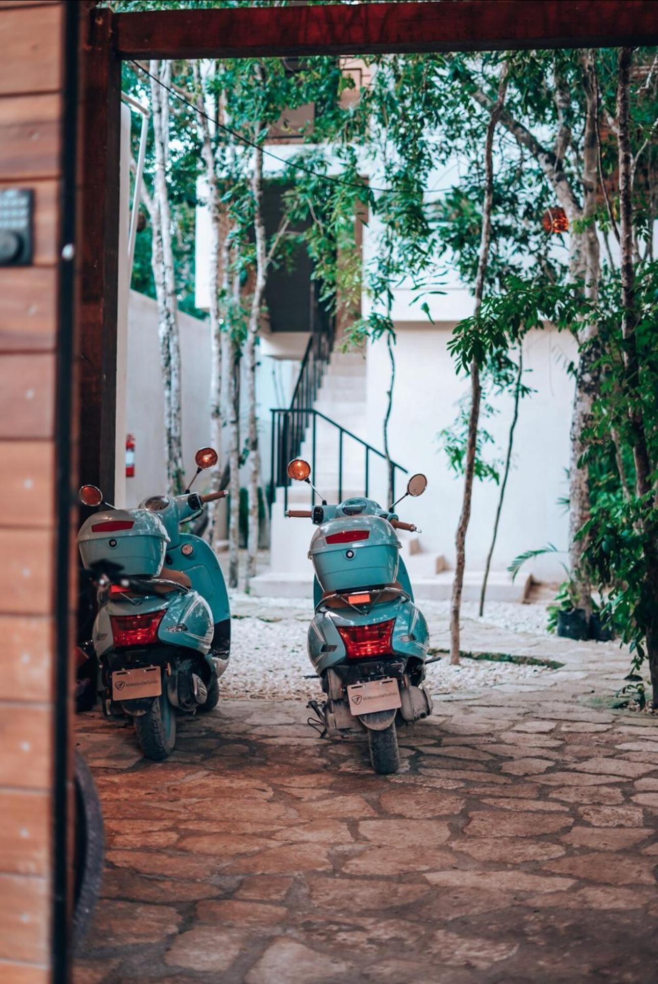 Apartamento Homa *