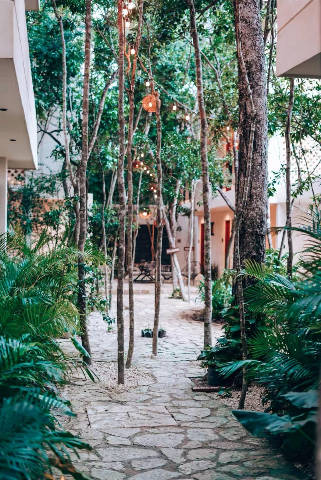 Homa Apartamento Tulum