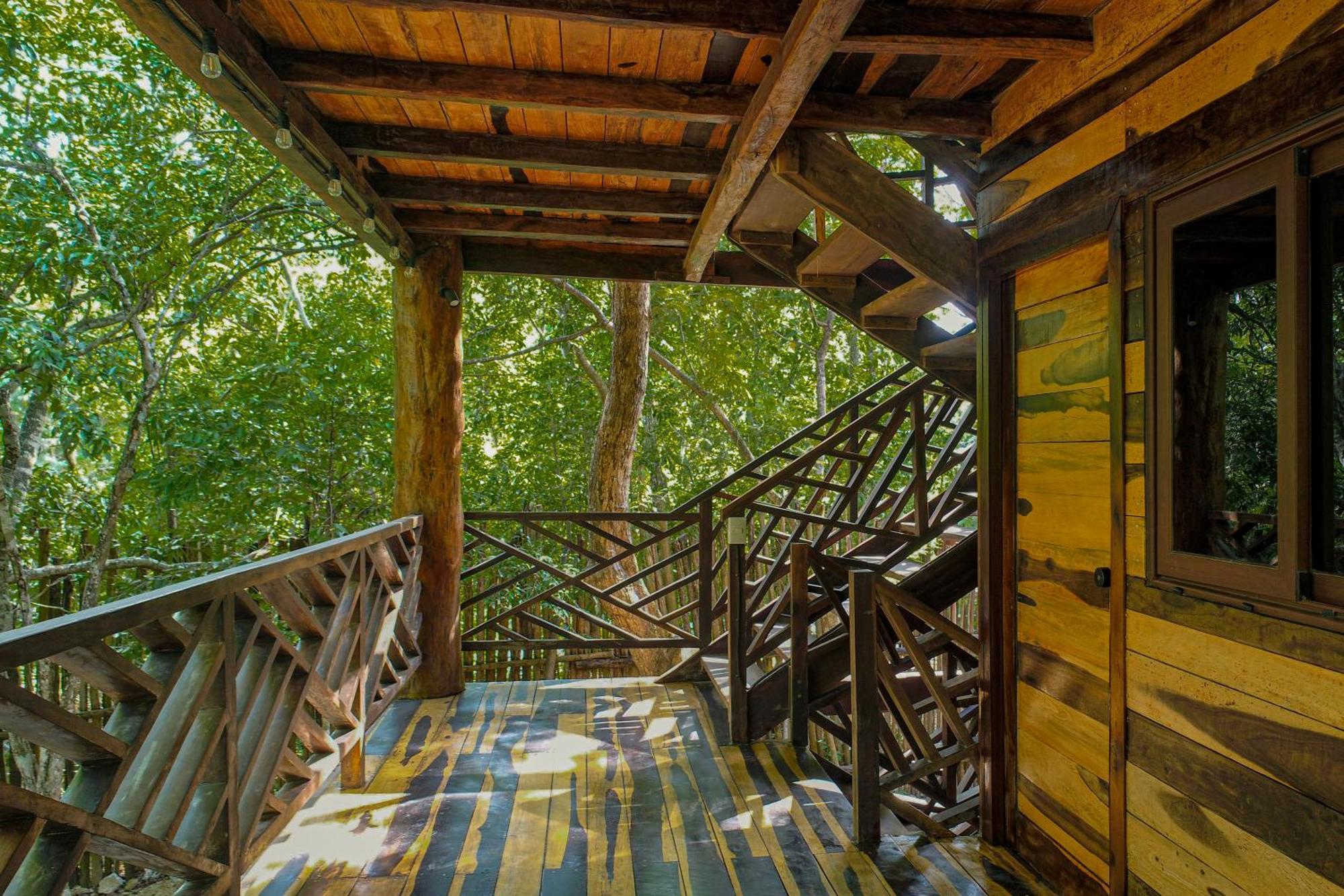 Treehouse H2ojos
