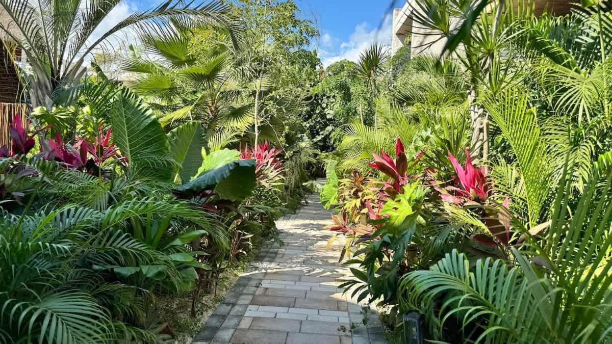 Сasa de vacaciones Alberca Privada, Cenote, Casa Baalam Tulum
