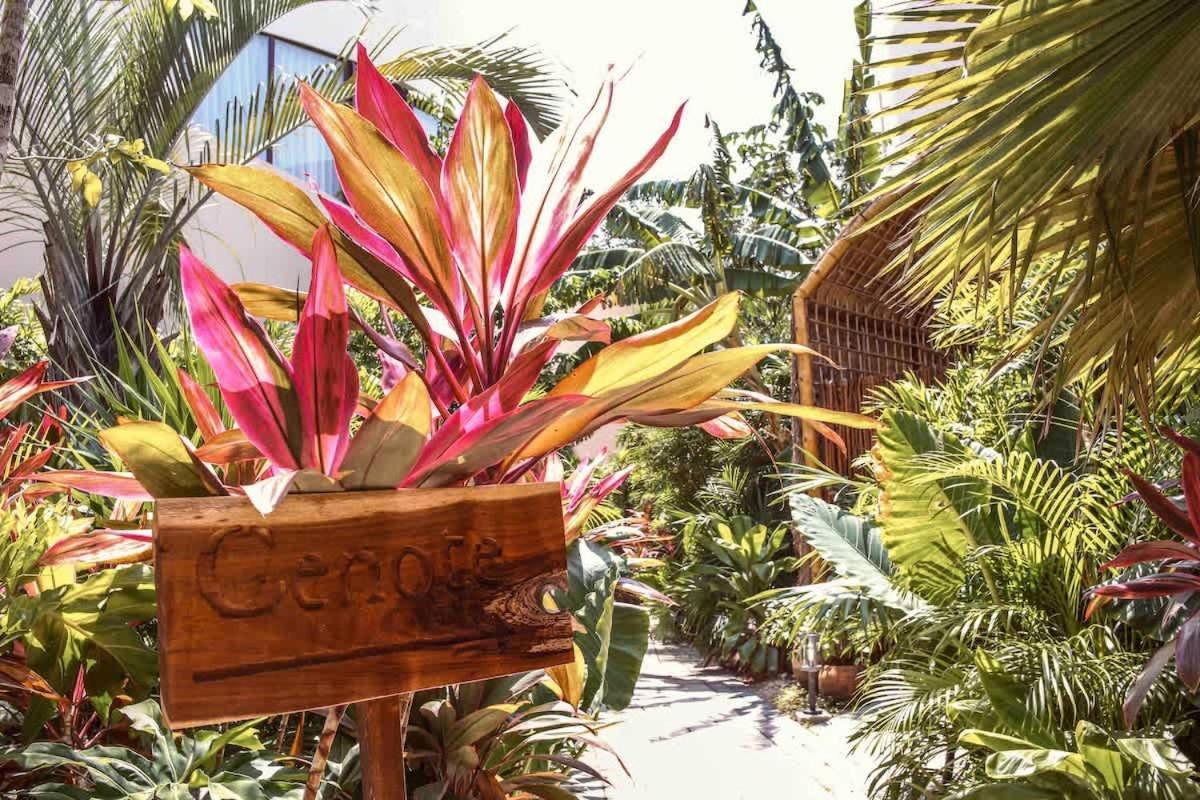Alberca Privada, Cenote, Casa Baalam Сasa de vacaciones