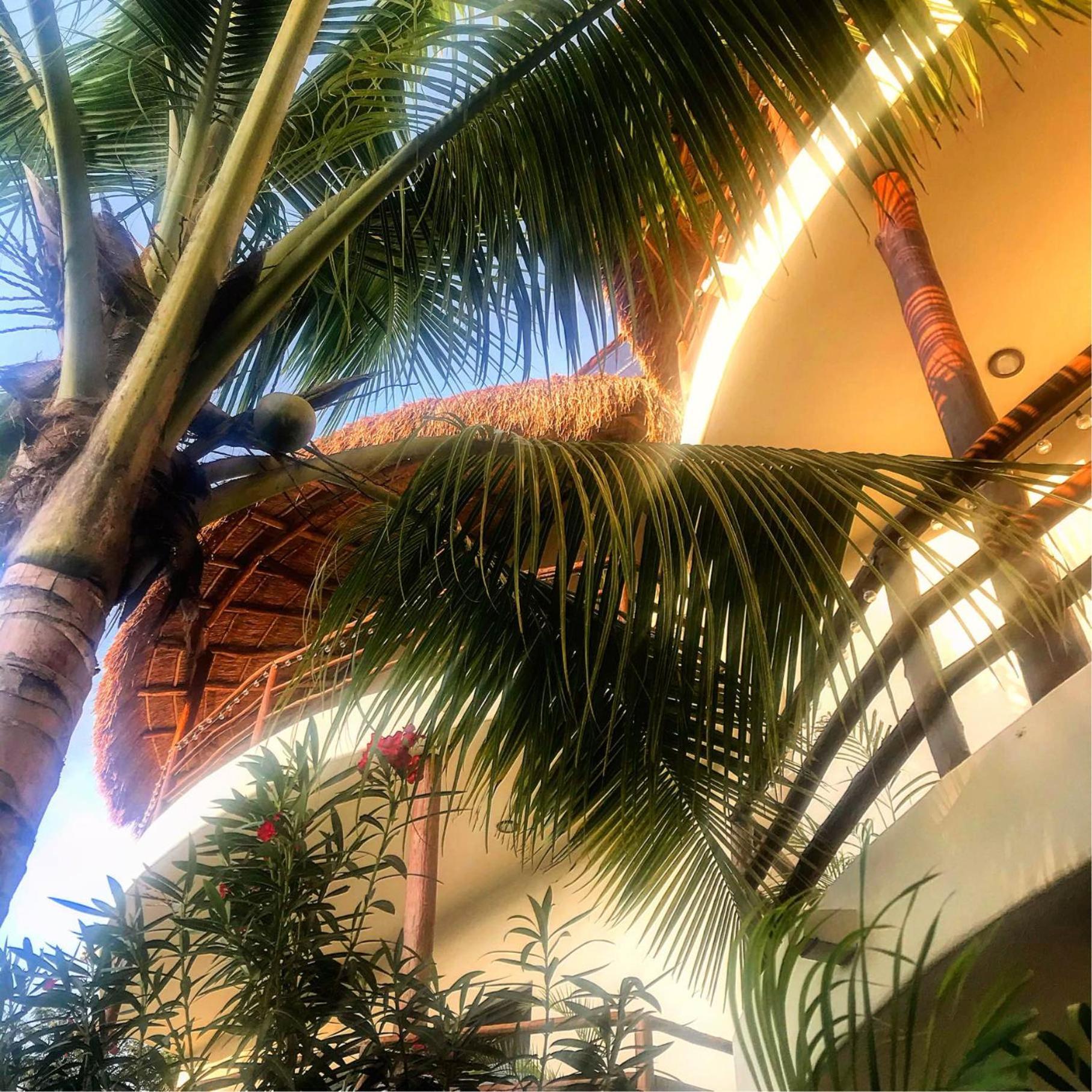 Apartamento Tua Large And Comfortable With Swimming Pool Tulum