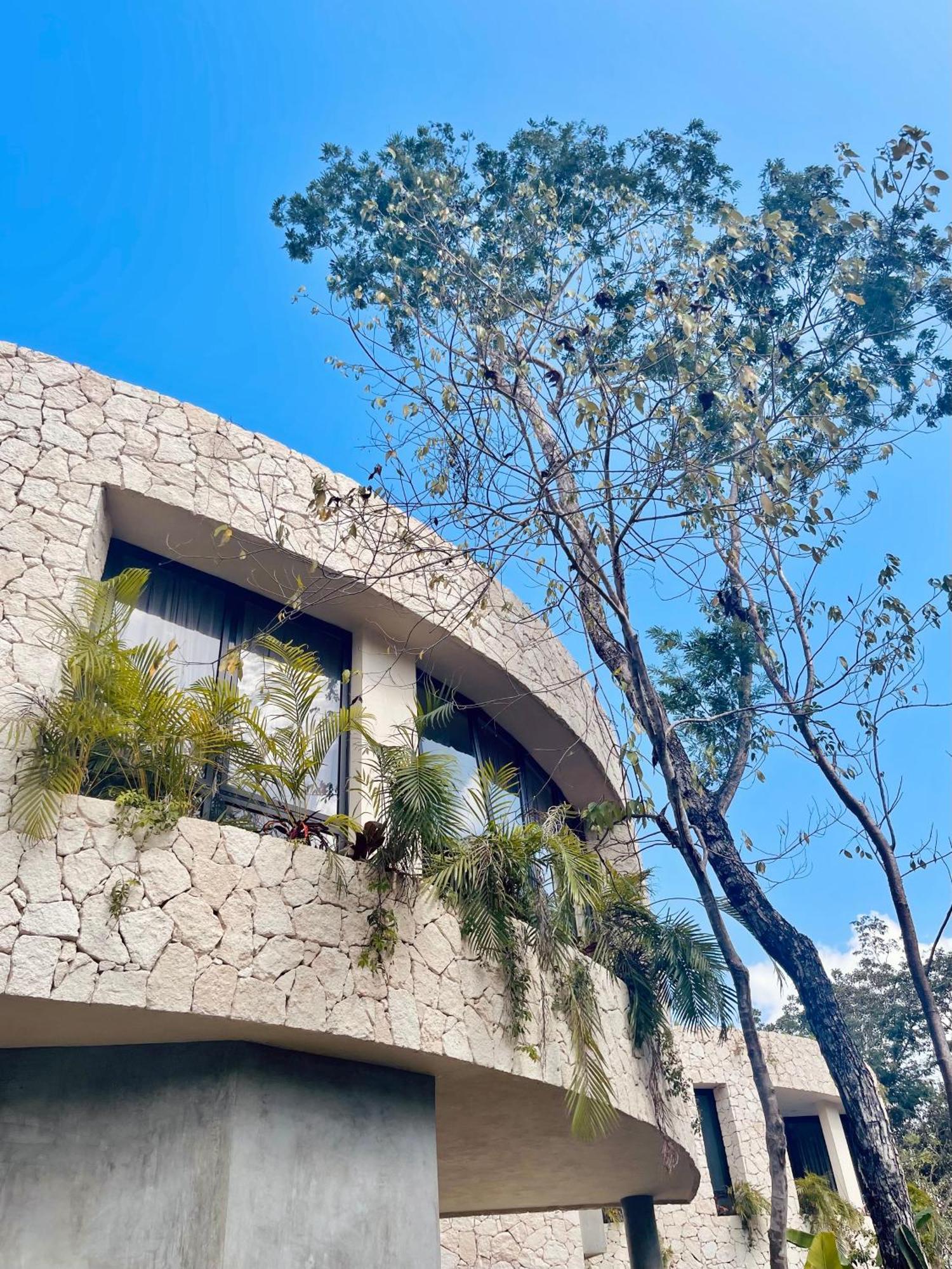 Round Luxury Private Pool & Jungle Rooftop 2b