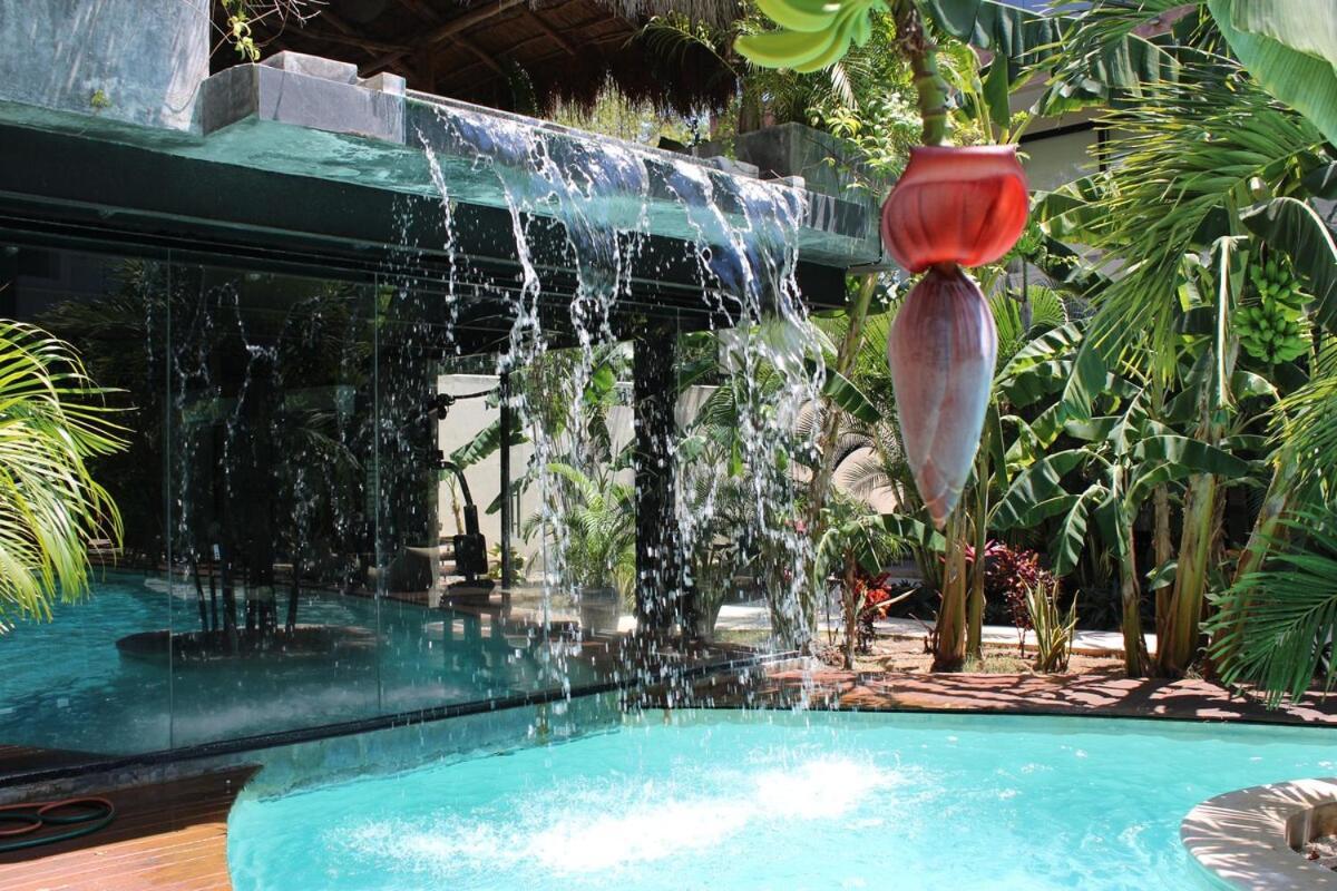 Xperience 1br Pool Gym And Yoga Palapa Apartamento