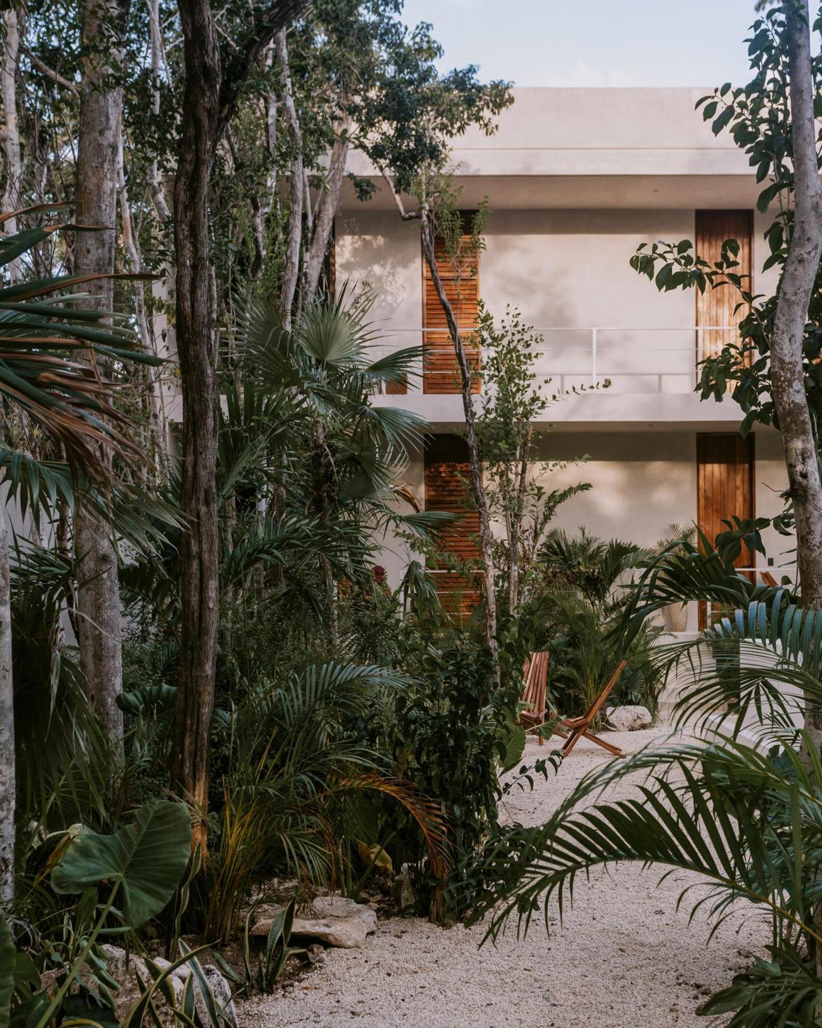 Seremonia Oasis De Lujo En La Selva Villa