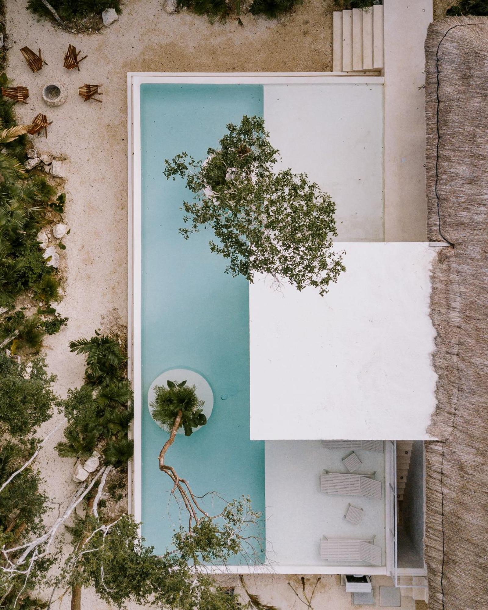 Villa Seremonia Oasis De Lujo En La Selva Tulum