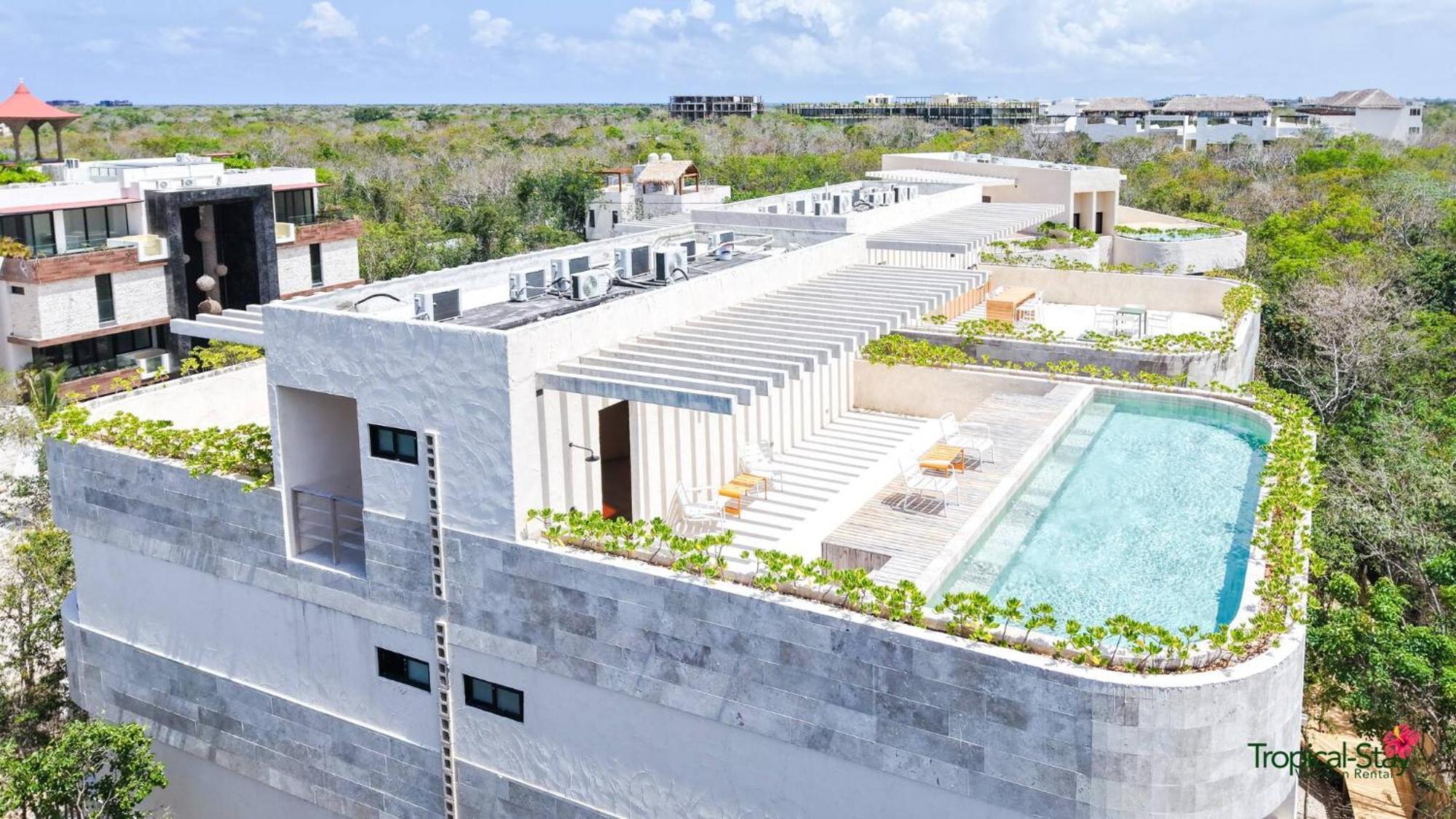 Kaabin Jungle Living C5 Apartment *