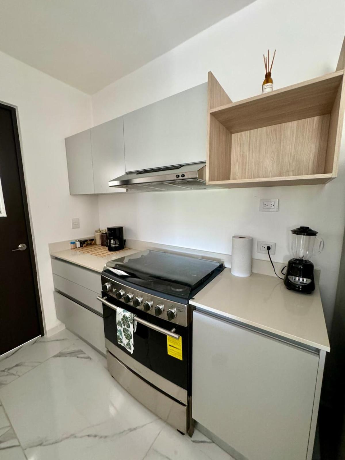 Apartment Brisa