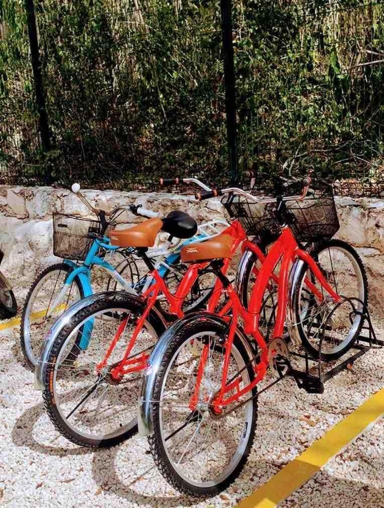 Pool, Bikes, Jungle View And Good Vibes * Tulum