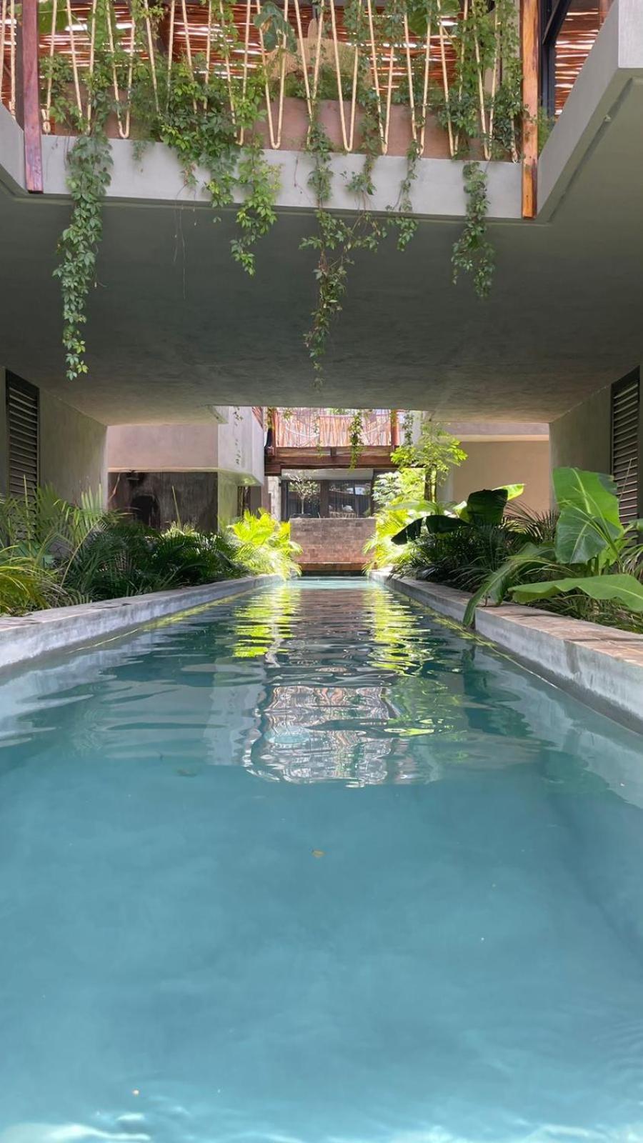 Jungle Luxury Romantic Club Private Pool Apartment *