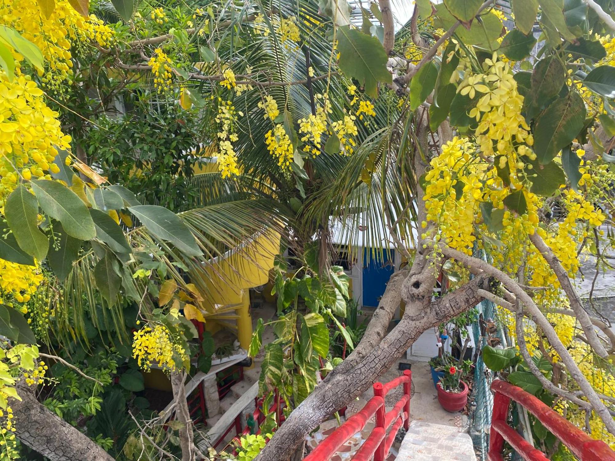 Maison 3* Tulum