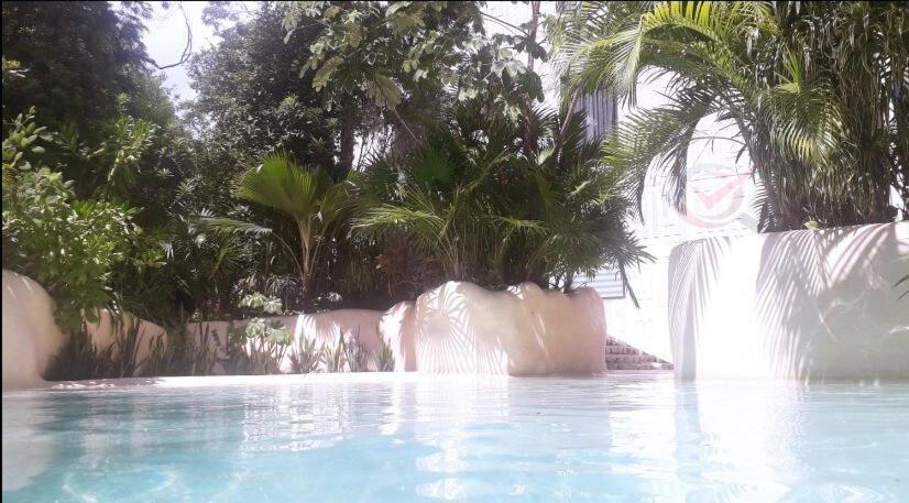 Nueva De Lujo Piscina Privada * Tulum