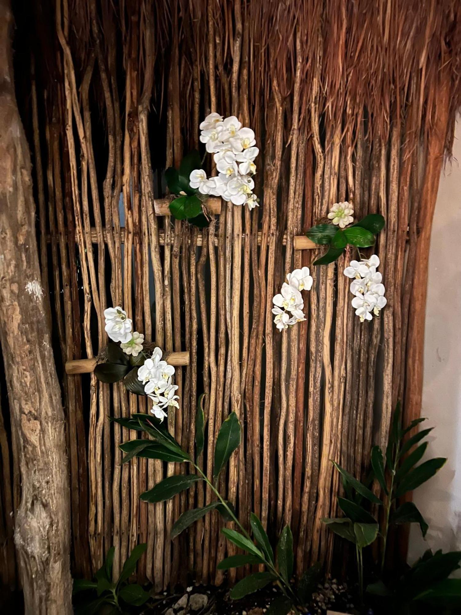 Medaya Selva Retreat * Tulum