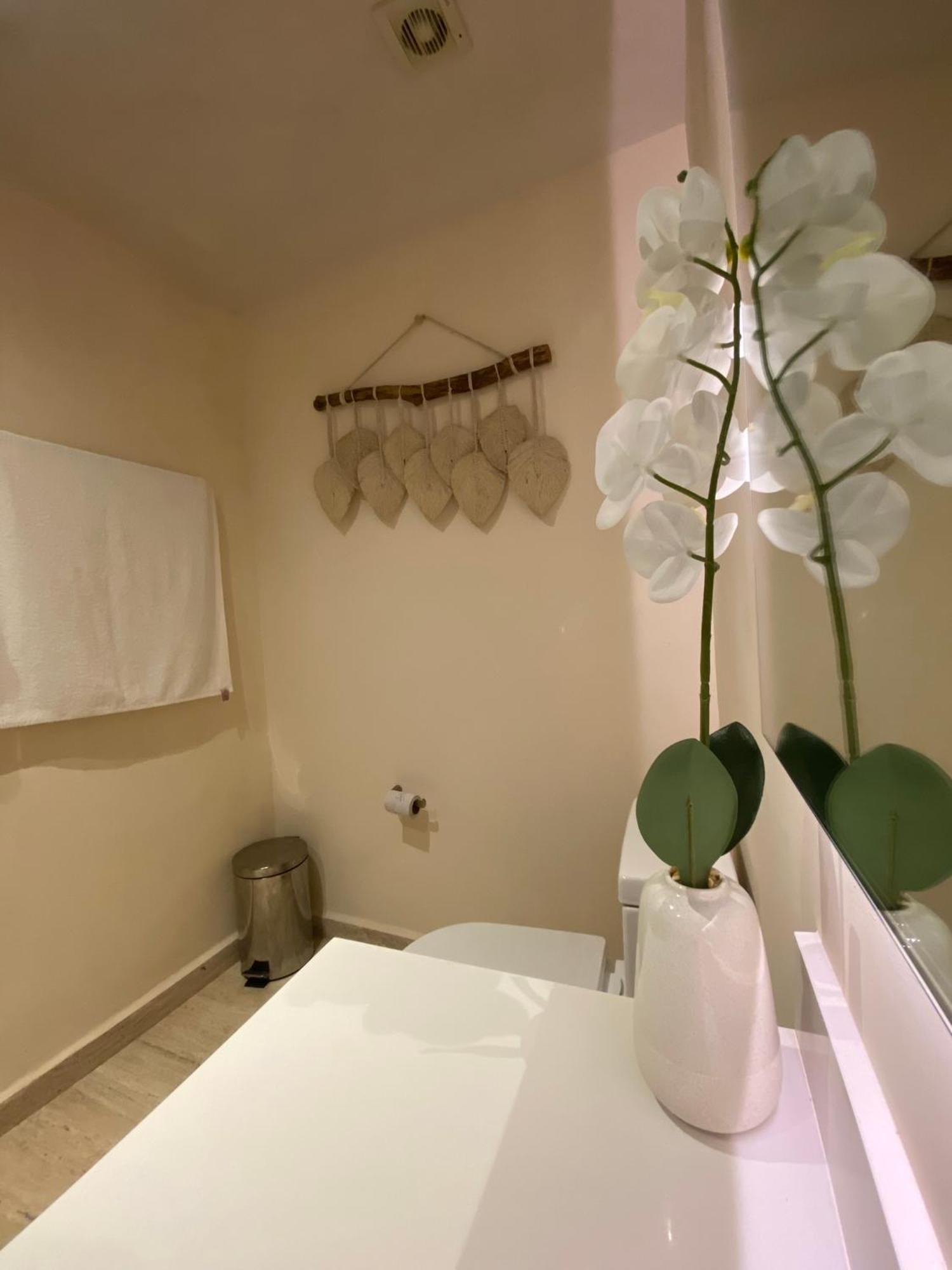 Apartment Eco-chic