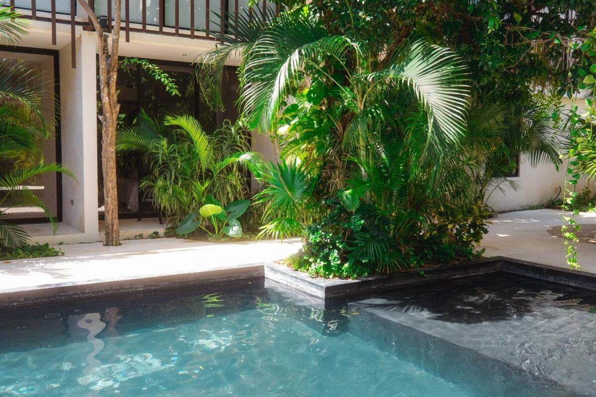 Apartment Ph With Private Pool, Total Relaxation In Tulum