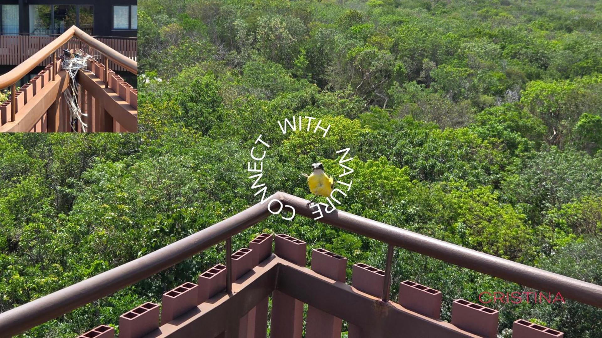 Tulum's 2br - By The Apartamento Tulum