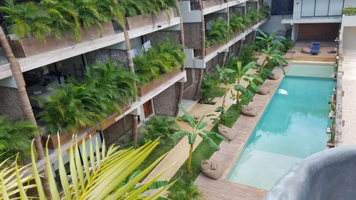 La Veleta, Pet Friendly