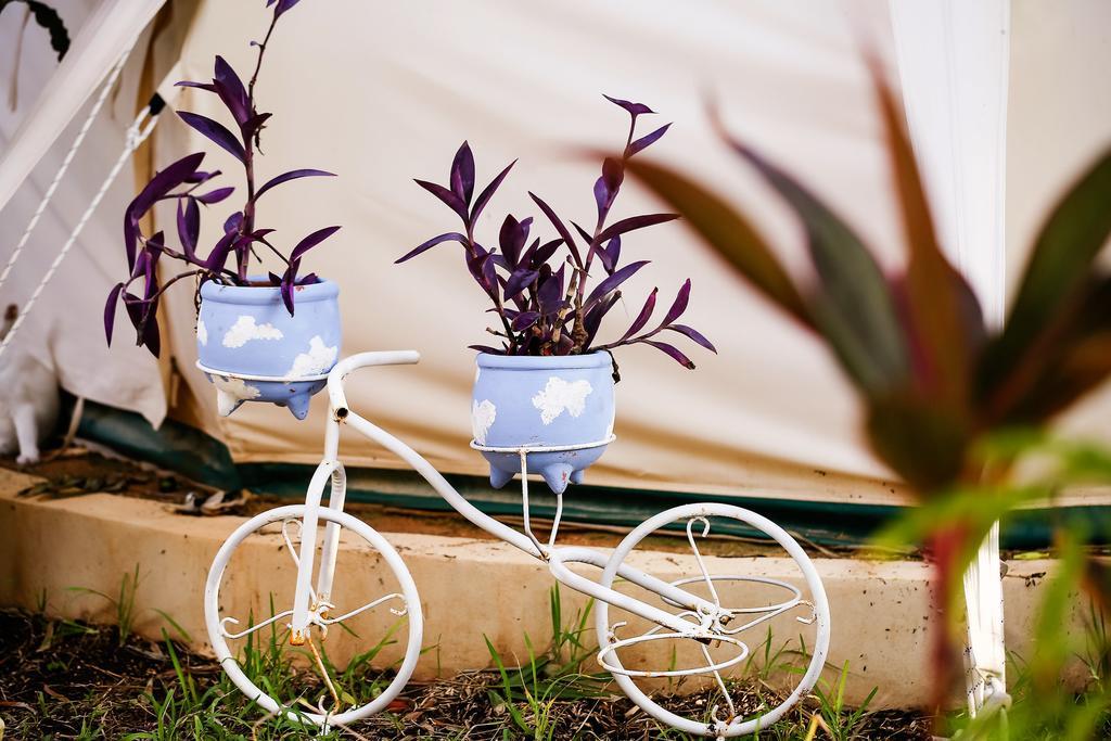 Hotel Harmony Glamping Boutique And Yoga