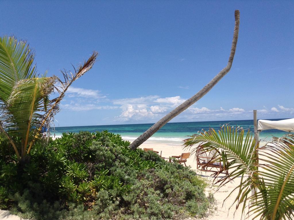 Lodge El Caracol Tulum