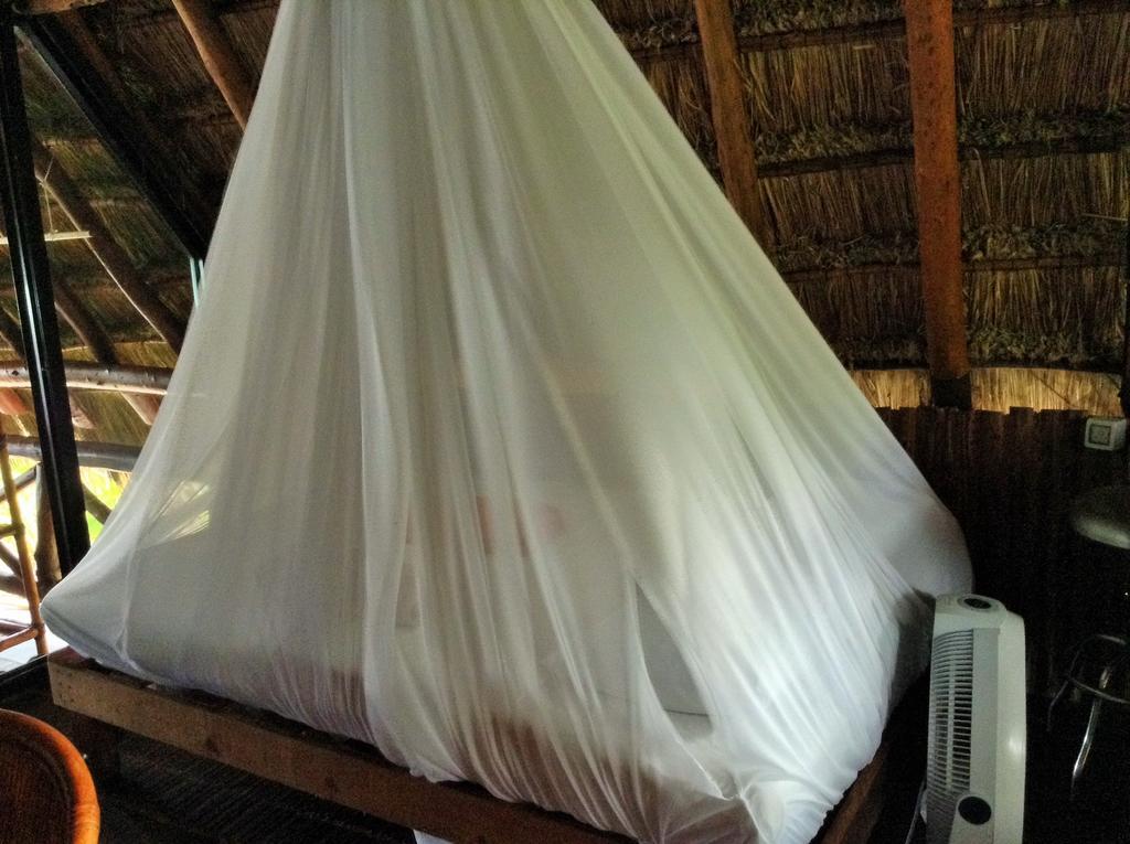 El Caracol Lodge Tulum