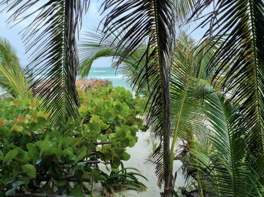 El Caracol Lodge Tulum