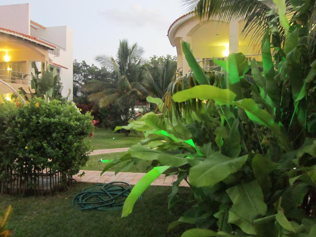Blueberry Luxury Apartamento Tulum