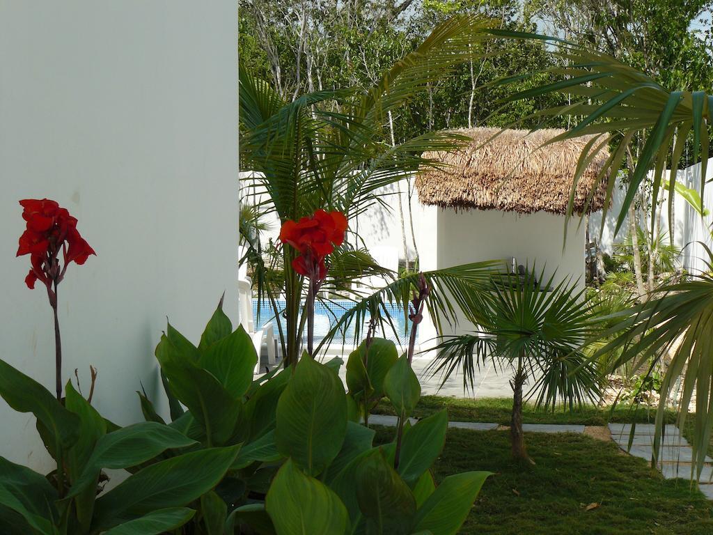 La Veleta - Robinson Apartamento