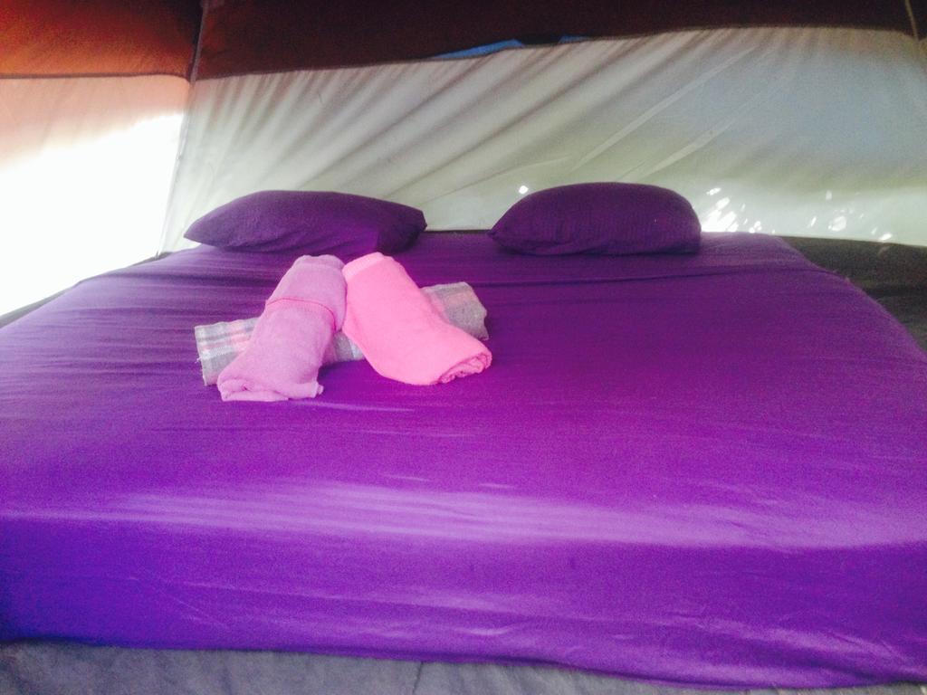 Camping Turquesa Jungle Camping *
