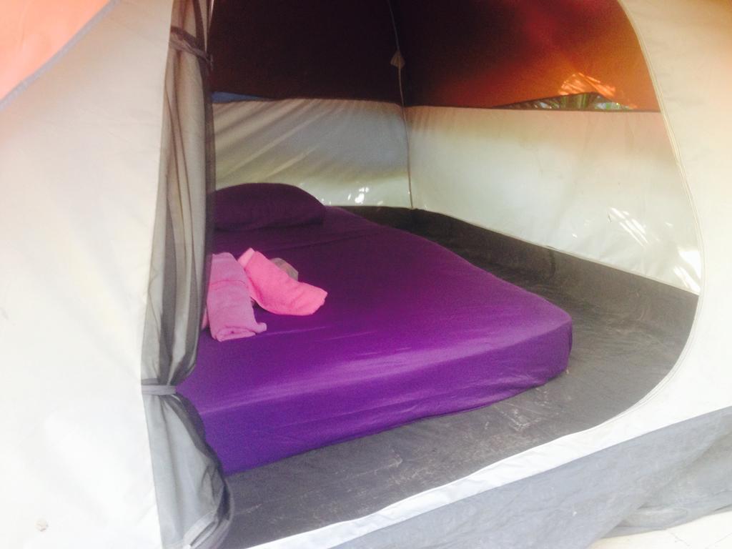 Turquesa Jungle Camping