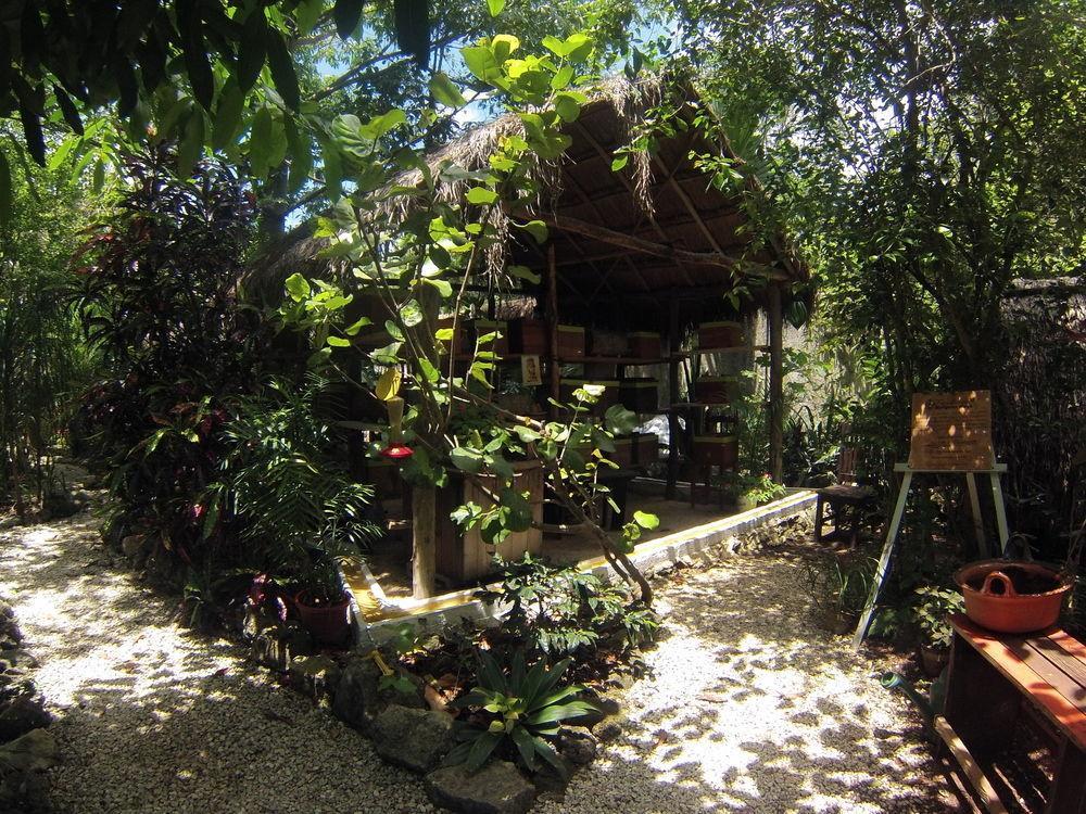 Casa Don Diego 3*