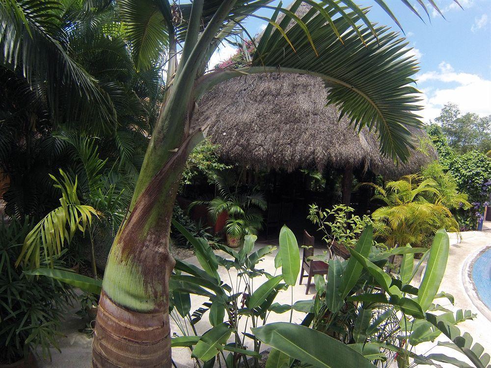 Casa Don Diego 3*