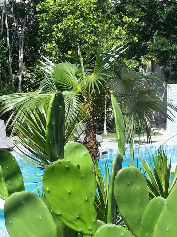 Apartamento La Veleta - Robinson *