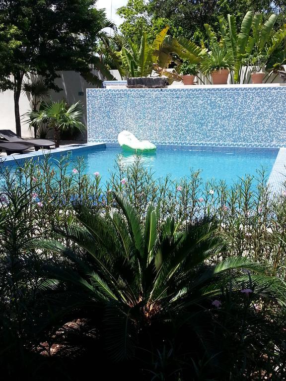 Apartamento La Veleta - Robinson *