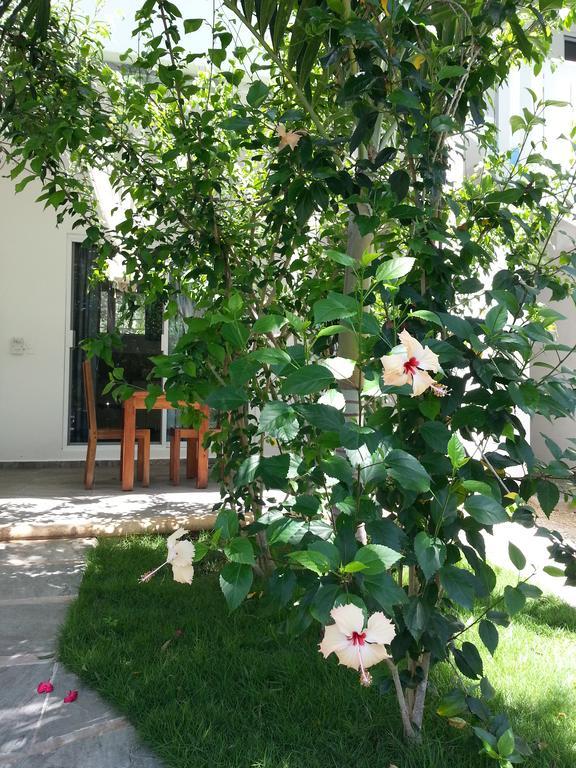La Veleta - Robinson Apartamento Tulum