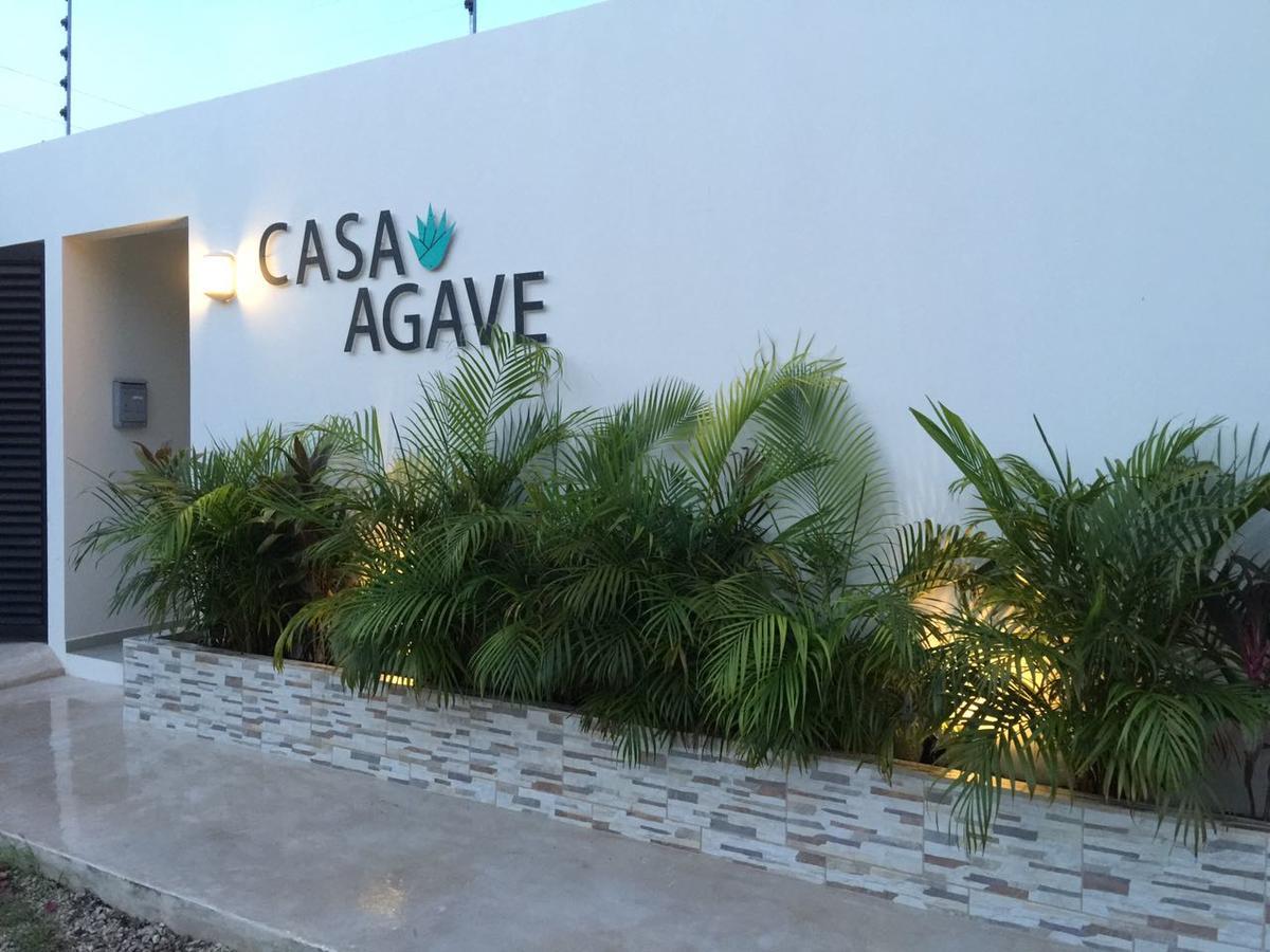 Casa Agave *