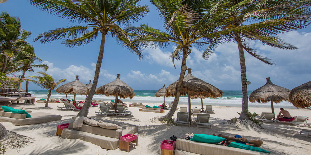 La Zebra Tulum, A Small Luxury