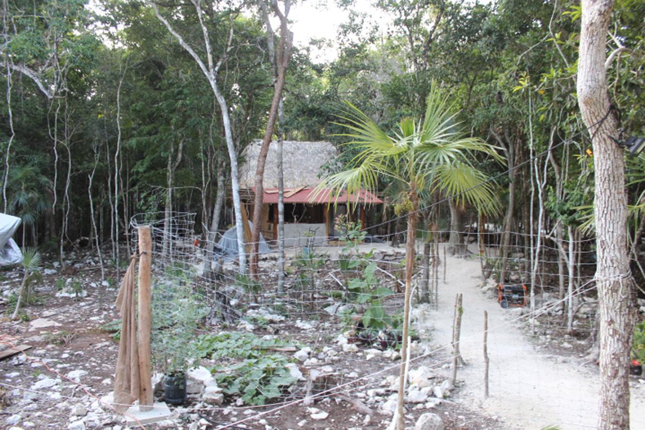 Stage One Camping Camping Tulum