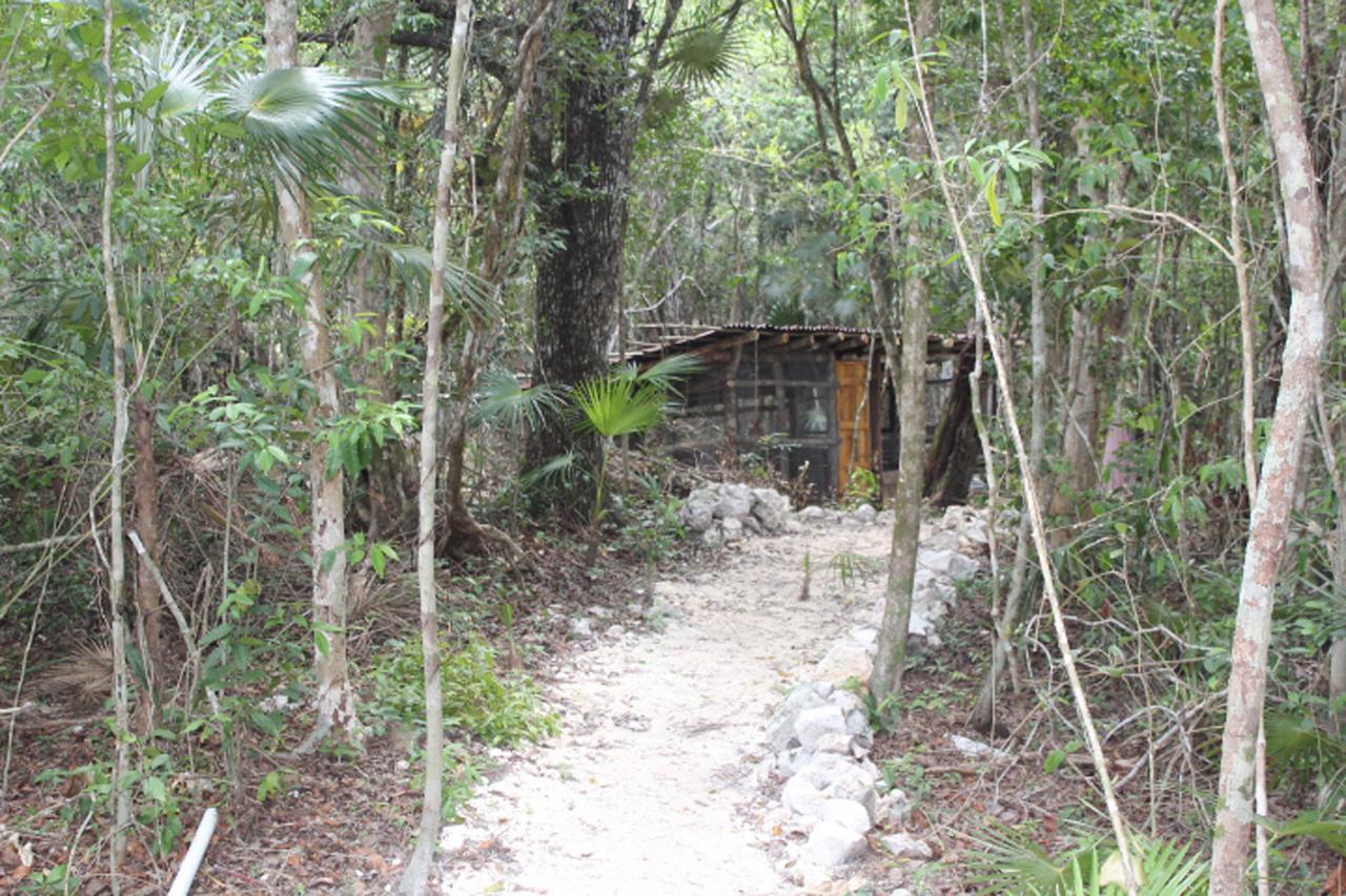 Stage One Camping Camping Tulum