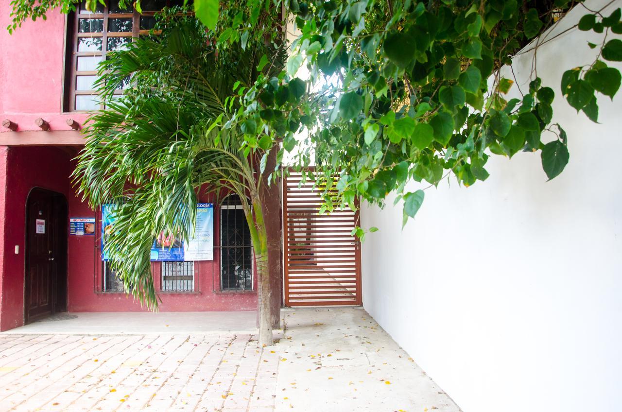 Casa Tortuga Apartahotel Tulum